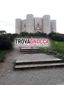cerco vera donna femmina cerco vera donna femmina