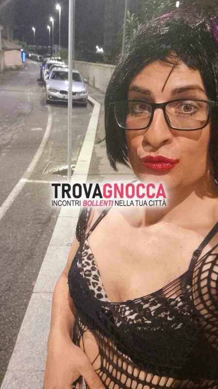 trav ingorda sborra