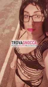 trav ingorda sborra trav ingorda sborra