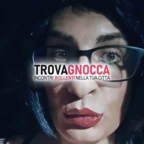 trav ingorda sborra trav ingorda sborra