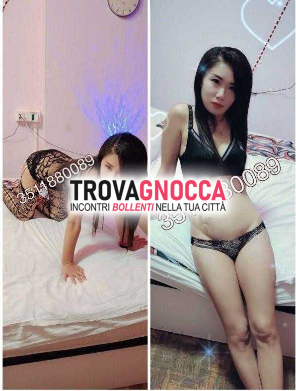 🆕 nuova _ragazza orientale - 🎀.foto vere 🎀regina bocchino al naturale 💯 deliziosa posizione 69