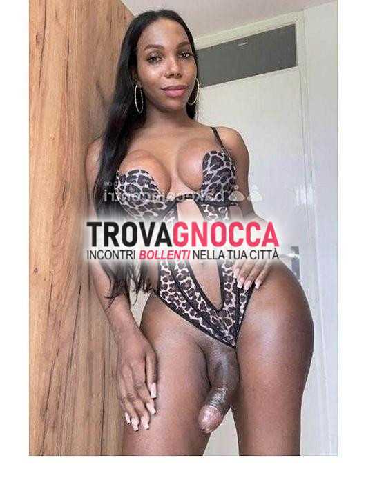 ritornata biella sono un'energia attiva e passiva 🏳️‍🌈🏳️‍🌈🥀🌻🌹🌸🍆🍍🍌🥳😎 ambiente climatizzato🔥🔥 dove ogni incontro diventa super arrapante. pronta farti provare piacere sesso mia carica latte caldo. regina sesso ti aspetta