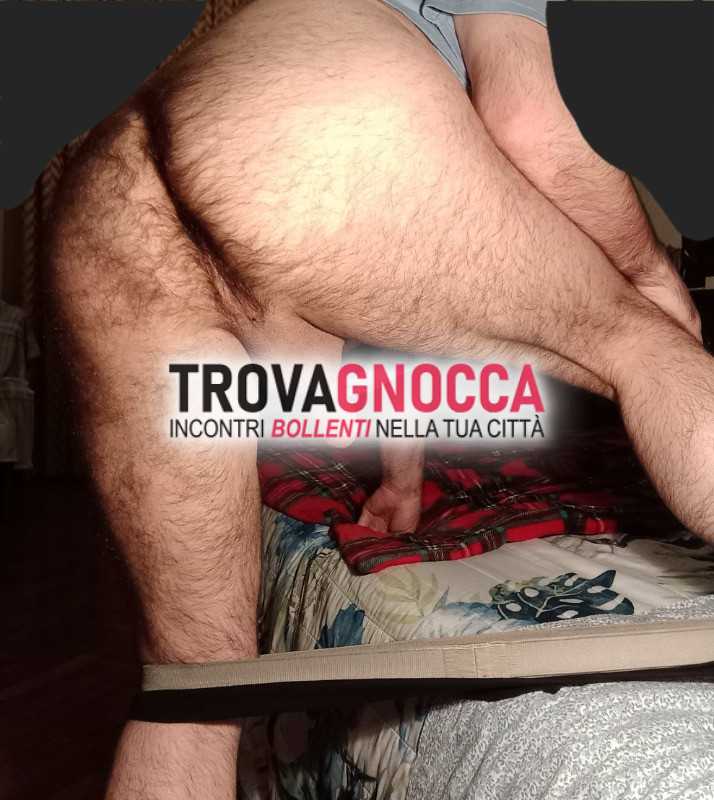 chi ospita bel culone peloso