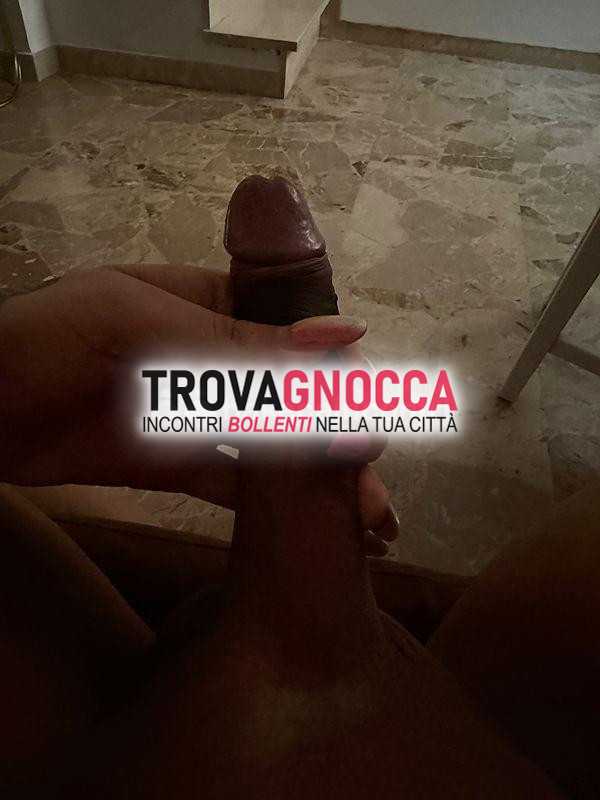 zephyra 🌸 transessuale 🏳️‍⚧️ dominicana 🇩🇴 
a venezia isola 🏝️ campo dei frari incontro sensuale non perdere