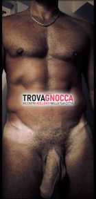 bull compagnia bull compagnia