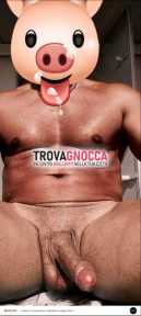 bull compagnia bull compagnia