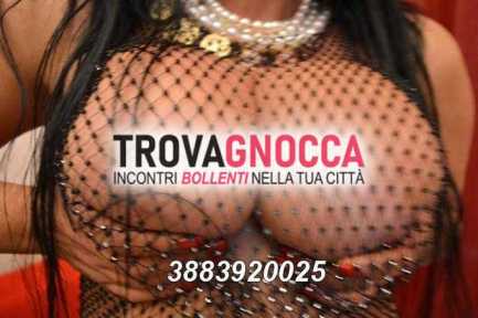 💦dea transessuale italiana 💦 transessuale classe ma anche vera porca💦