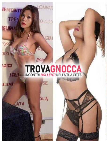 fresca e ricercata trieste 💎 foto assolutamente reale - posso verificare videochiamata 💖🔝 wilma asiatica 💖 ti lascerÀ senza parole.