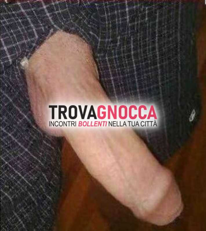 cerco coppia o singola che abbia voglia trasgredire. non sono mercenario e non ne cerco foto reale. ciao francesco