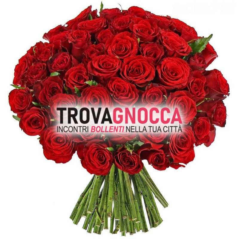 250 rose chi mi lascera sua moglir