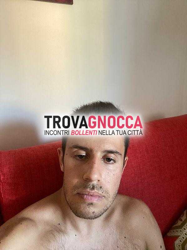 giovane stallone