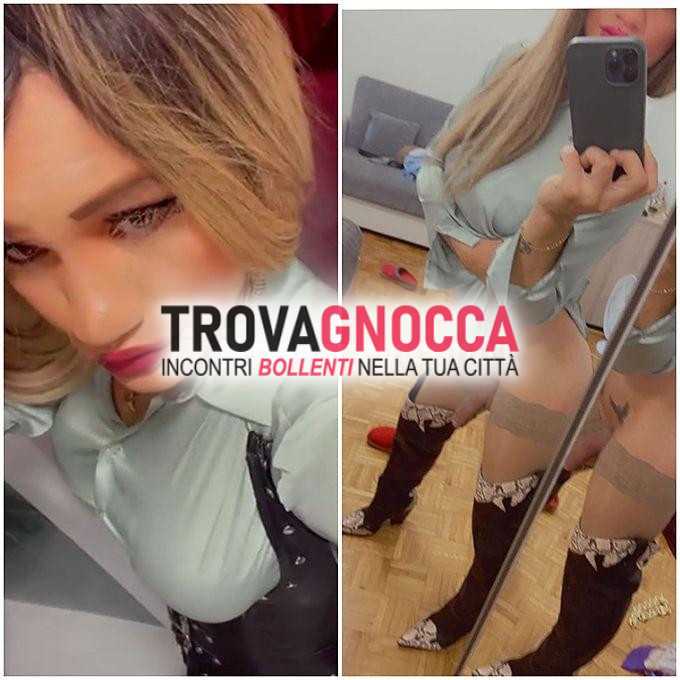 shayla xl cavallona
