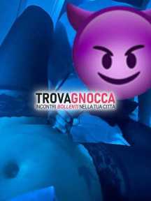 shayla xl cavallona