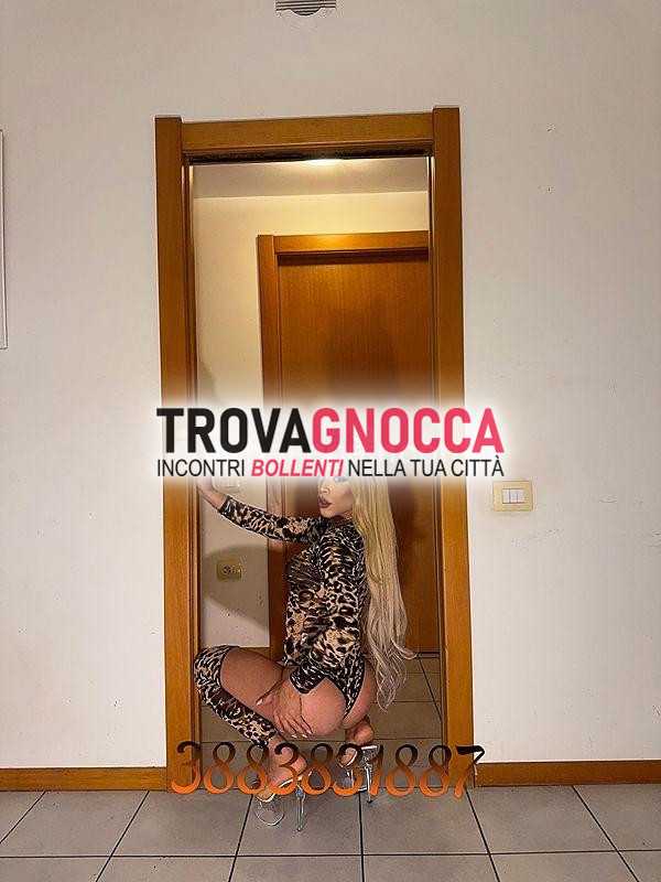 🐷🍆prima volta cittÀ 🐷🍆bellissima transessuale 👅la bambola sesso senza limitisexy bella molto calda e super arrapante🐷🐷