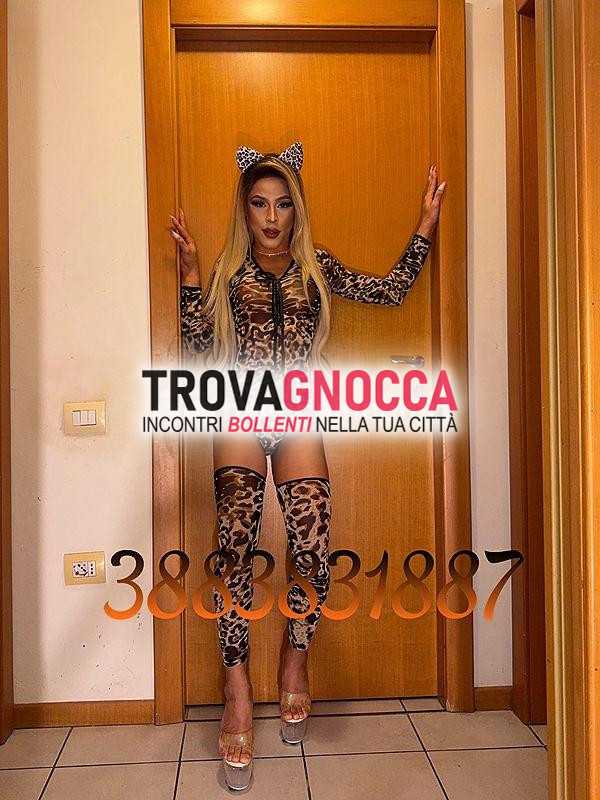 🐷🍆prima volta cittÀ 🐷🍆bellissima transessuale 👅la bambola sesso senza limitisexy bella molto calda e super arrapante🐷🐷