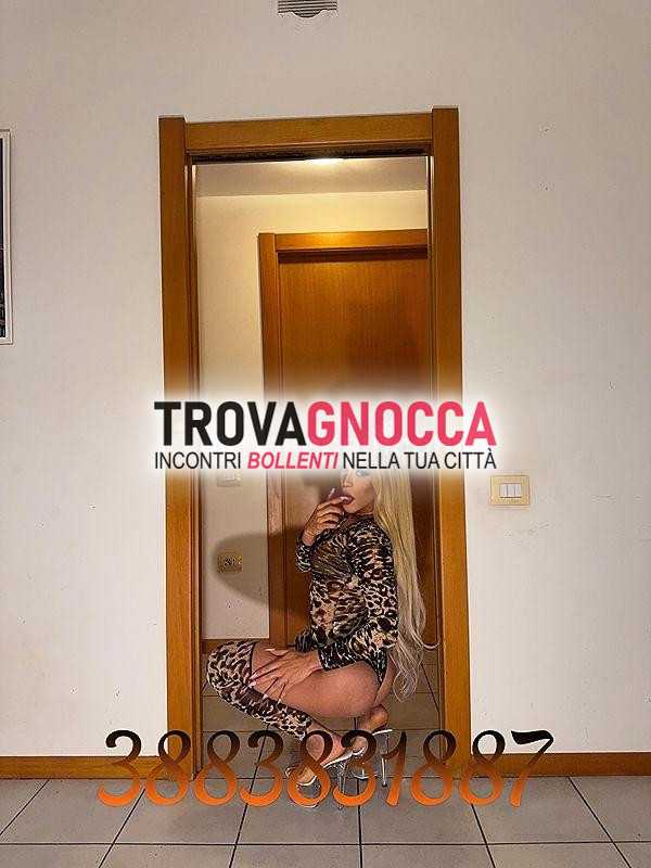🐷🍆prima volta cittÀ 🐷🍆bellissima transessuale 👅la bambola sesso senza limitisexy bella molto calda e super arrapante🐷🐷