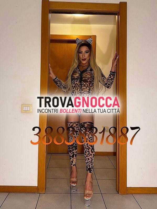 🐷🍆prima volta cittÀ 🐷🍆bellissima transessuale 👅la bambola sesso senza limitisexy bella molto calda e super arrapante🐷🐷