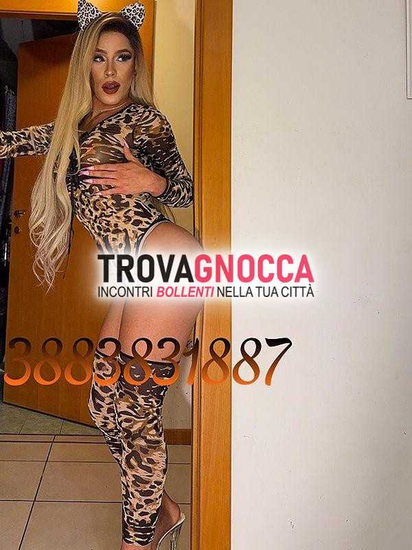 🐷🍆prima volta cittÀ 🐷🍆bellissima transessuale 👅la bambola sesso senza limitisexy bella molto calda e super arrapante🐷🐷