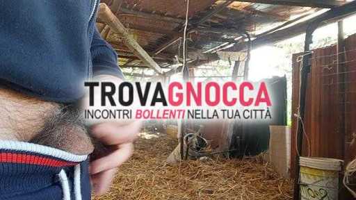 ospito san severo marito giovane cerca avventure passionali solo attivo