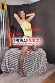 💦superdotata brasiliana natalia transex cavallona completissima un'esperienza indimenticabile💦 💦superdotata brasiliana natalia transex cavallona completissima un'esperienza indimenticabile💦