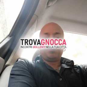 licenza media