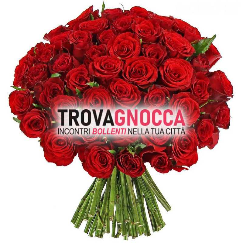 250 rose xhi mi lascera sua moglie