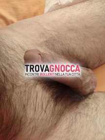 cerco travtrans o bisex