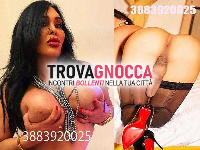 altedo💦 dea transessuale italiana 💦 transessuale classe ma anche veramente porca💦