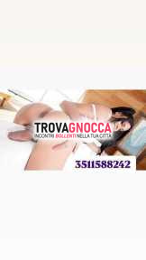 prima volta π transessuale π foto reale al π―βπ―π π₯ piu' sensuale cavalona π . attiva e passiva pronta sedurti bel preliminare senza fretta . bomba sexy cerca momenti inteni prima volta π transessuale π foto reale al π―βπ―π π₯ piu' sensuale cavalona π . attiva e passiva pronta sedurti bel preliminare senza fretta . bomba sexy cerca momenti inteni