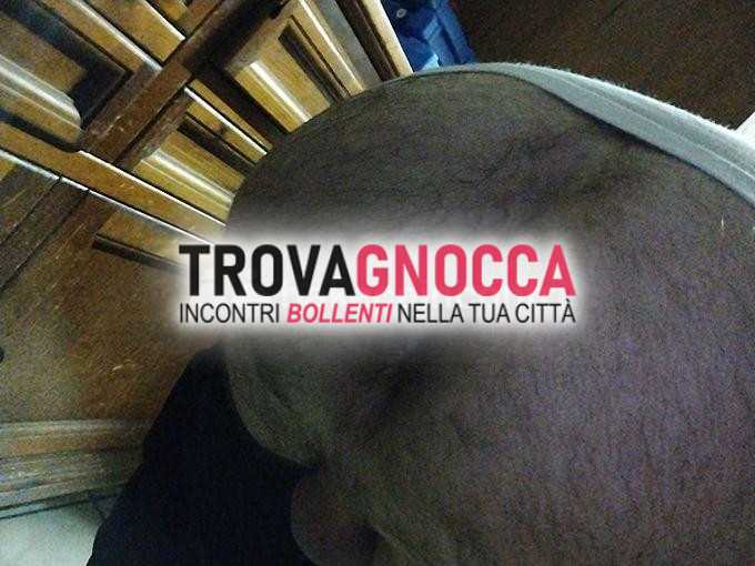 cerco attivo maturo