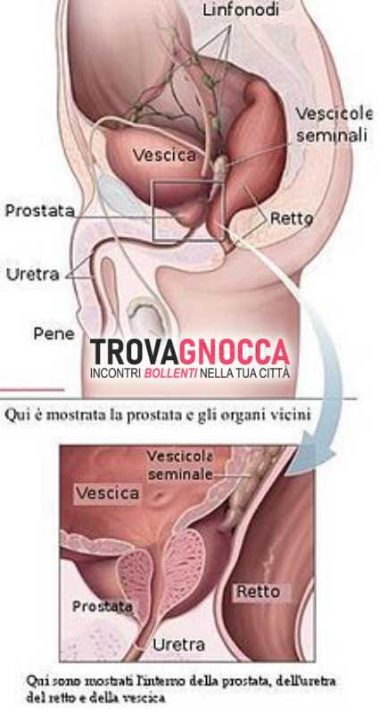 massaggiatrice esperta nella stimolazione ghiandola prostatica controllo alternato