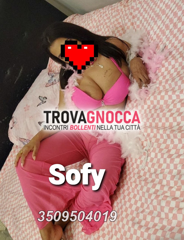 cassino ambiente climatizzato sofy regina dei pompini ci divertiamo tutto giorno e tutta notte 5 seno 96 tutte posizioni
