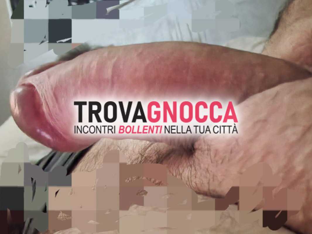 toro dotato