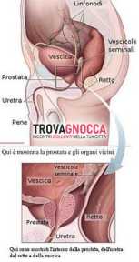 massaggiatrice esperta nella stimolazione ghiandola prostatica controllo alternato