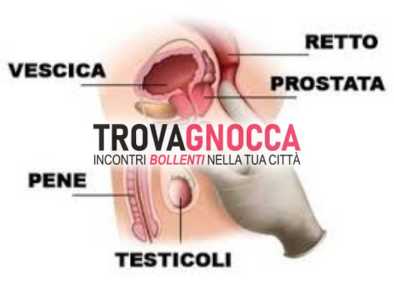 massaggiatrice esperta nella stimolazione ghiandola prostatica controllo alternato