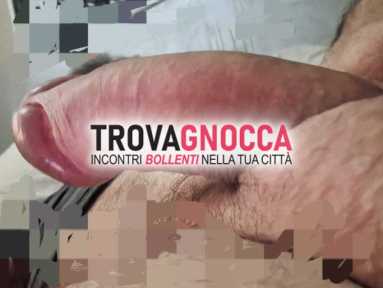 toro dotato