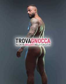porcello attivo