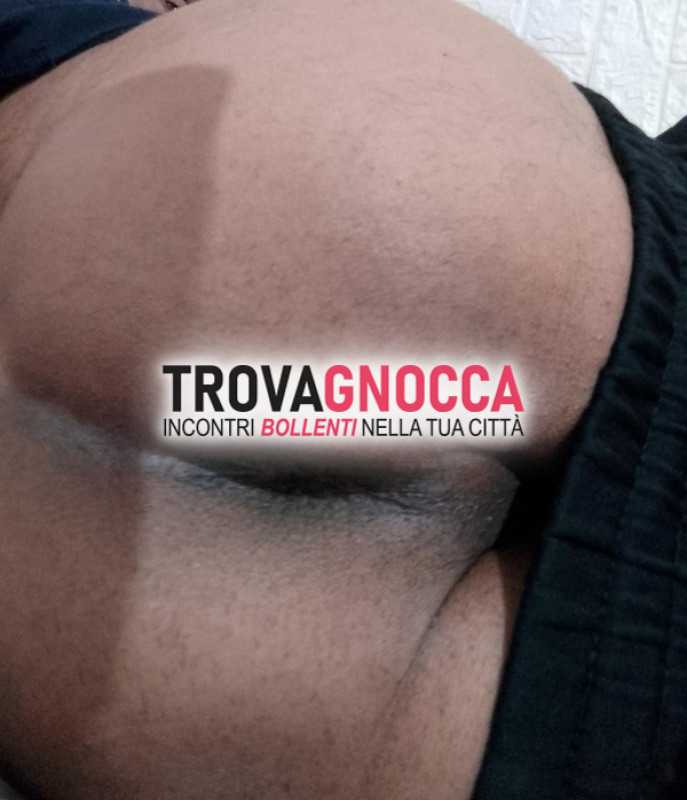 cerco attivo