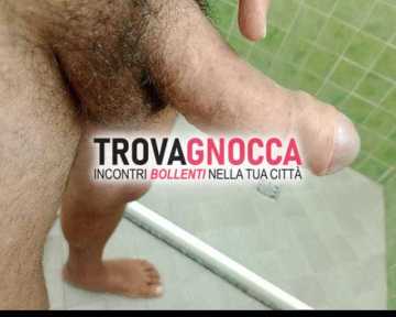 cercasi trav femminile accogliente modena