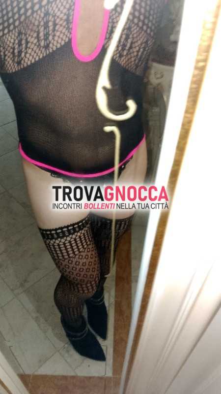 cerco trav