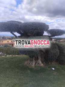 nn importa eta