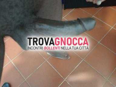 ragazzo colore cazzone 20cm disponibile tua moglie