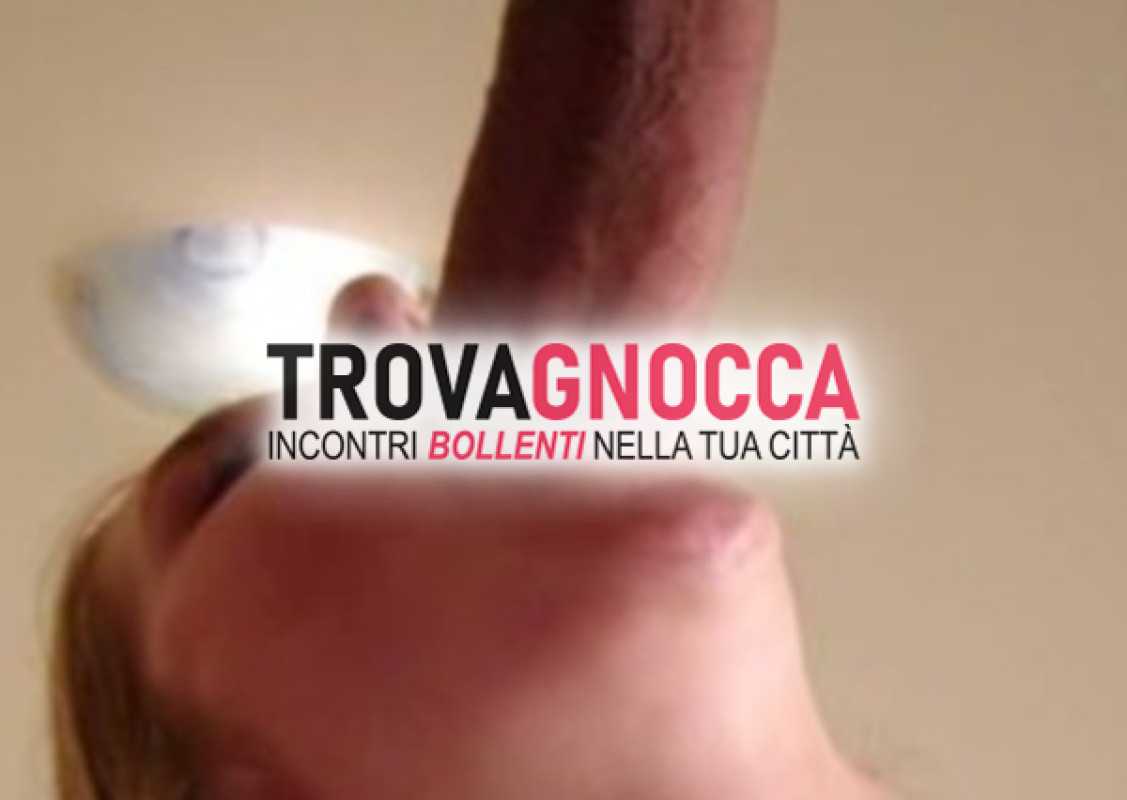 singol dotato cerca tutto