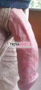 singol dotato cerca tutto