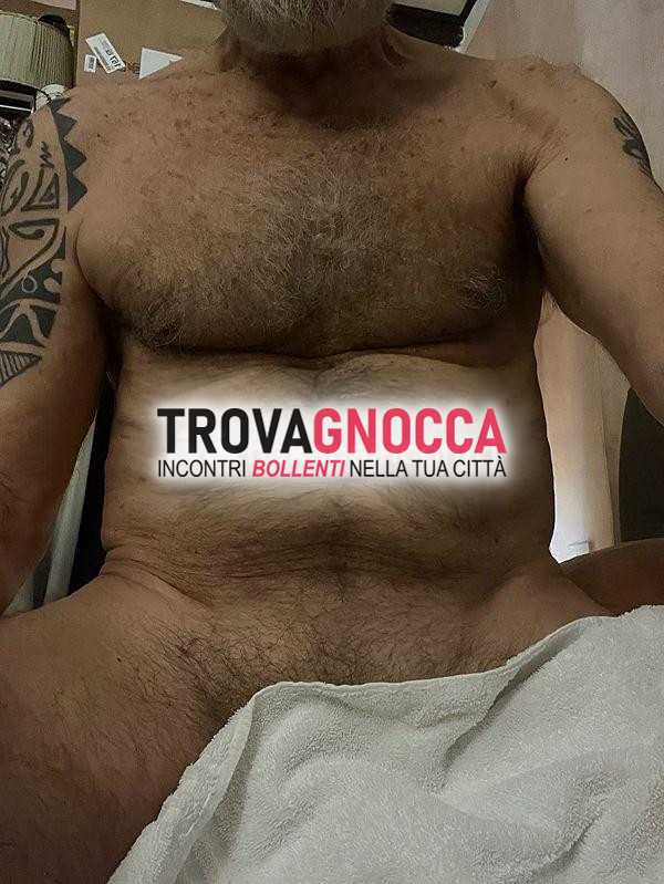 due maschi maturi porci e dotati cercano dotati maiali sesso e divertimento