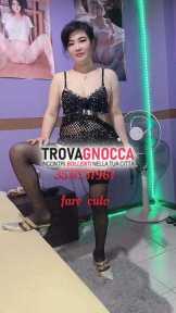 ❄gallarate ✨ appena arrivata💋 ragazza bellissima e dolcissima.✨ sexy orientale💋 ➡️ nuova ragazza sensualissima e carissima succhiatrice ➡️