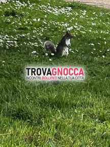 uomo sposato cerca scopamica