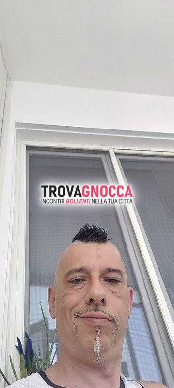 cerco travestito.