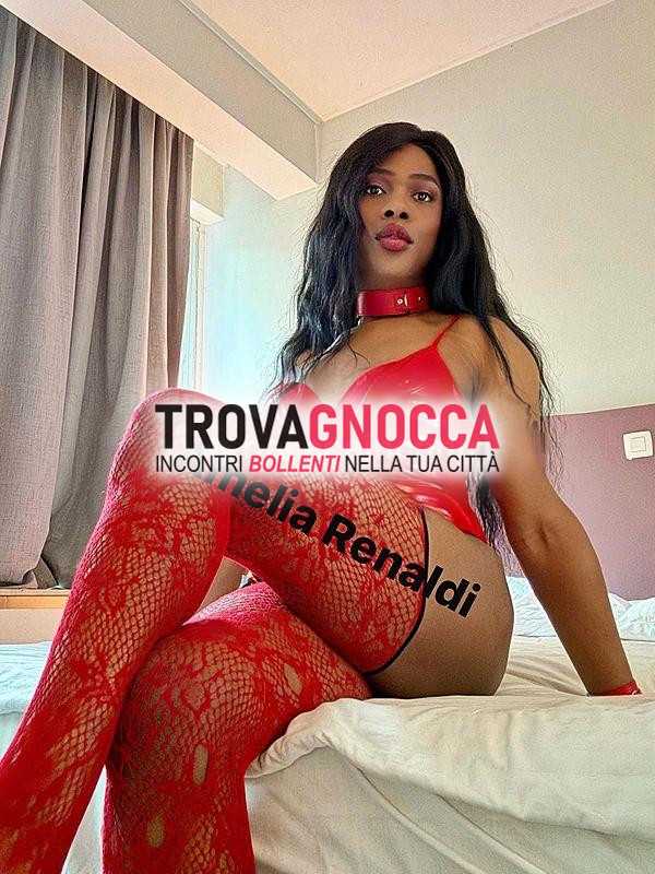 big dick attenzione appena arrivata ✨transessuale amelia renaldi ✨attiva passiva xl 23cm