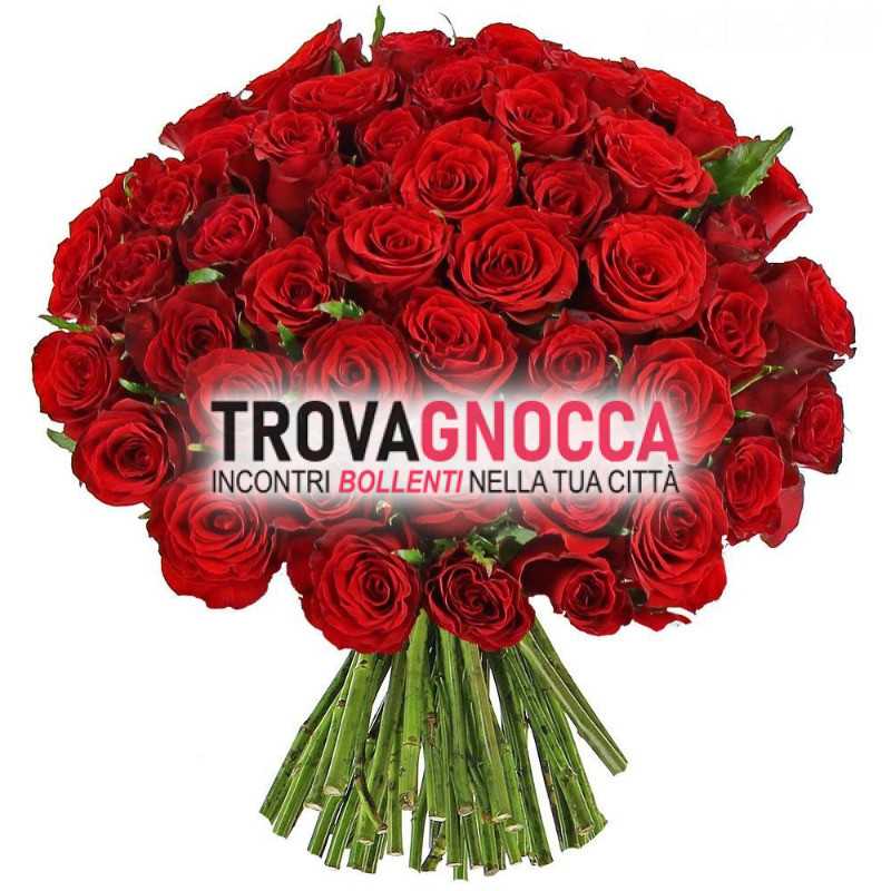 300 rose  se dispsosto lascairmi sola yya moglie